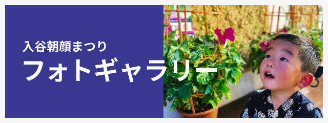 入谷朝顔まつり（朝顔市） フォトギャラリー